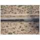 Las-Cruces-2870.JPG