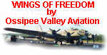 CLICK HERE to see Wings of Freedom Pictures at OVA