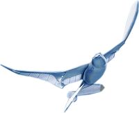 CLICK HERE TO VISIT THE FESTO WEBSITE ON SMARTBIRD