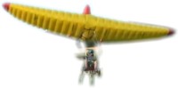 CLICK HERE TO SEE THIS THING IN FLIGHT...