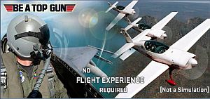 Click here to visit the Top Gun web site